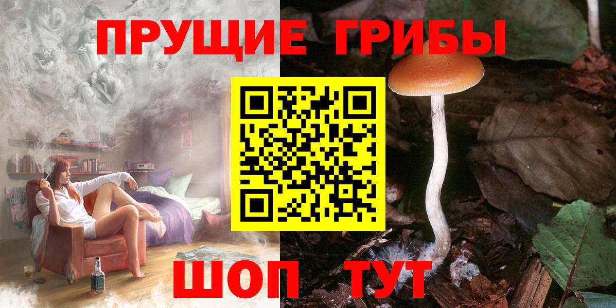 Псилоцибиновые грибы мицелий Десногорск
